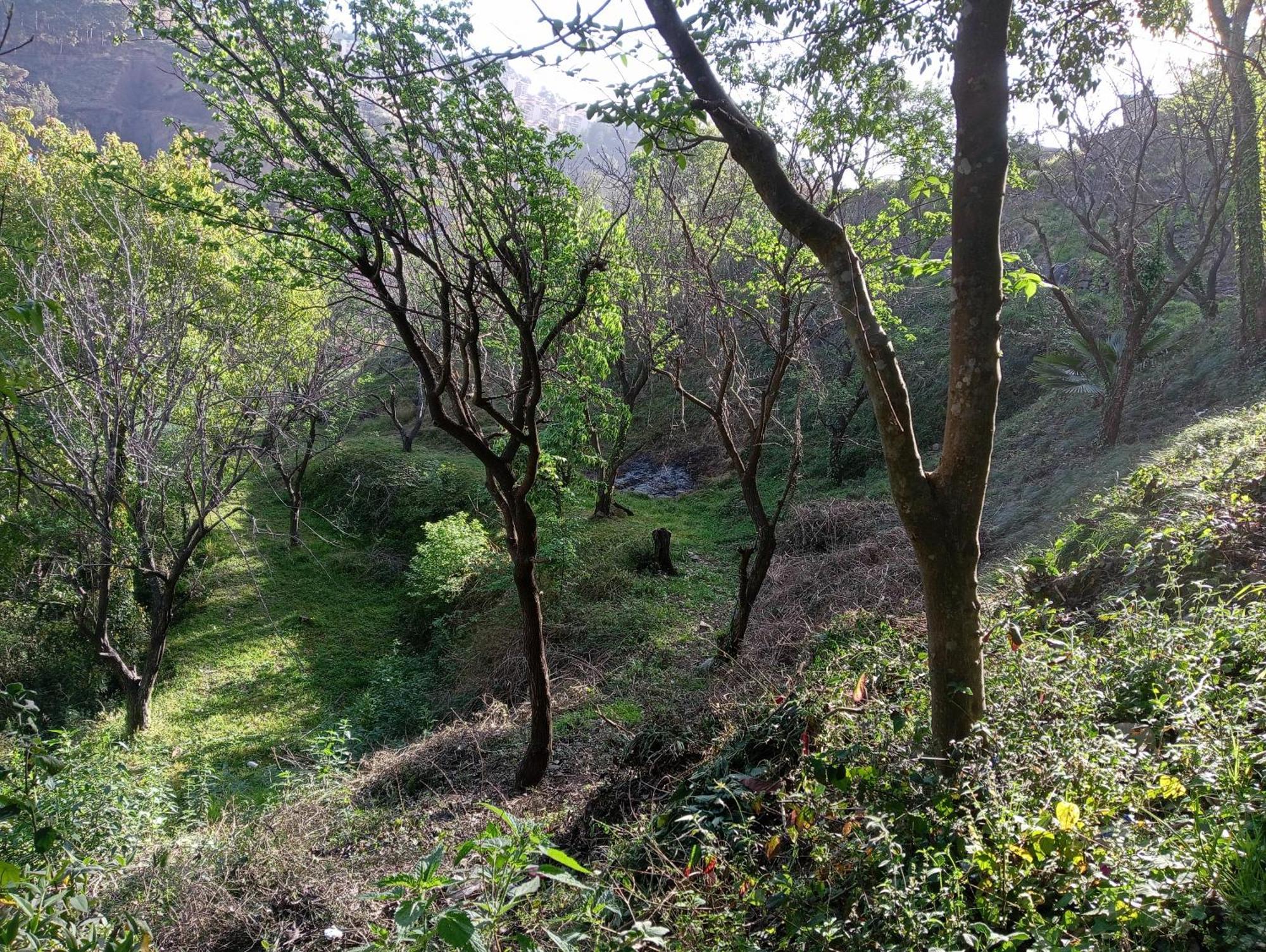 Mohija Homestay Kandāghāt 외부 사진